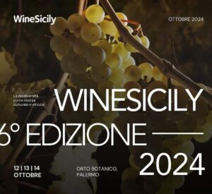 Wine Sicily 2024